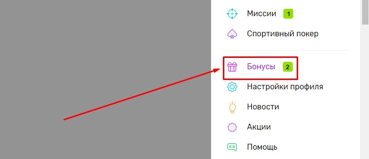 Бонусы